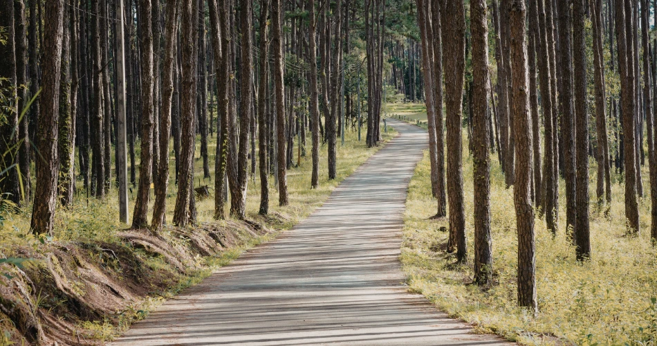 Top Outdoor Things to Do in Glendale for Nature Lovers