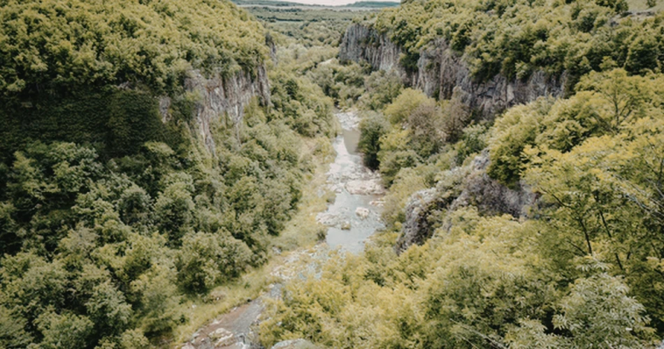 Top Outdoor Things to Do in Glendale for Nature Lovers