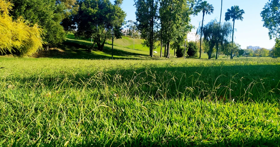 Top Outdoor Things to Do in Glendale for Nature Lovers