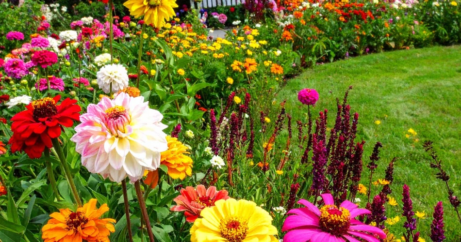 Top Outdoor Things to Do in Glendale for Nature Lovers